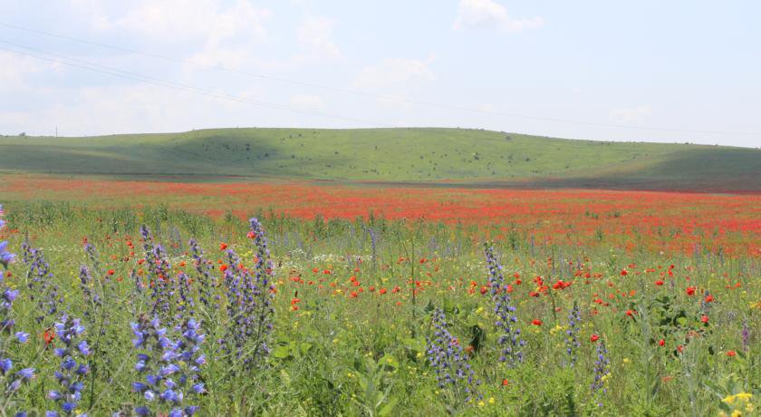 Гостиница Nadezhda Курортное-7