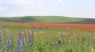 Гостиница Nadezhda Курортное-3